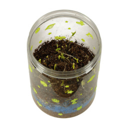 Zvyšujúci sa dinosaurí teráriový projektor s nočným LED svetlom