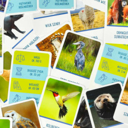 Vzdelávacia hra Na vrchole hry pre zvedavcov 8+ MULTIGRA - polsky jazyk