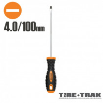 Skrutkovač plochý 100mm 4.0