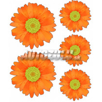 Samolepky set Margarétky 5ks