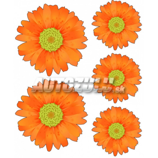 Samolepky set Margarétky 5ks