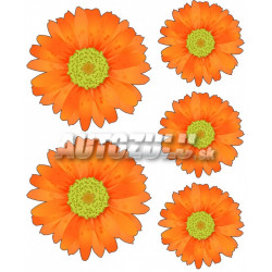 Samolepky set Margarétky 5ks